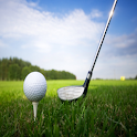 Golf Swing Tips Revealed logo