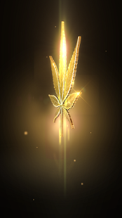 How to download Marijuana Live Wallpaper 4.0 apk for laptop