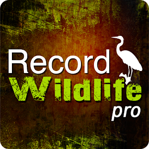 Record Wildlife Pro