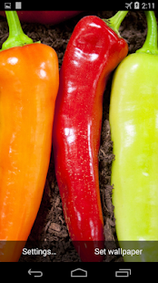 How to download Hot Chili Peppers Wallpaper patch 1.0 apk for pc