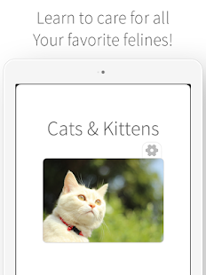Cats & Kittens - Cat Care Screenshots 3