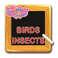 Birds & Insects for UKG Kids Apk