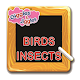 Birds & Insects for UKG Kids APK