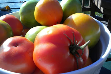 Fall Harvest Tomato Galettes
