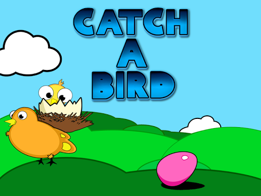 Catch A Bird