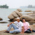 Harie muchty arief ...