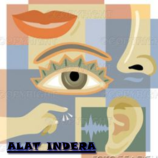 Alat Indera LOGO-APP點子