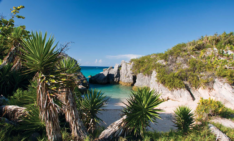 Jobson's Cove, Bermuda, is a great area to explore.