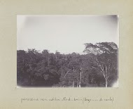 Panorama van uit den Noord-toren (bergen in de verte)