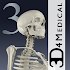 Essential Skeleton 31.1.3