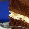 Chocolate Cake Fillng - : This easy chocolate hazelnut layer cake is a showstopper!