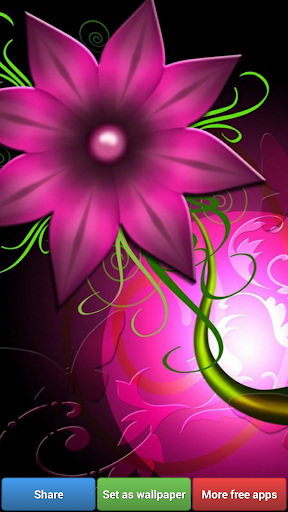 免費下載生活APP|Flowers HD Wallpapers app開箱文|APP開箱王