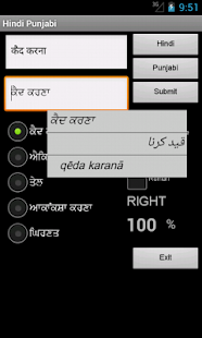 Download Hindi Punjabi Dictionary APK for PC