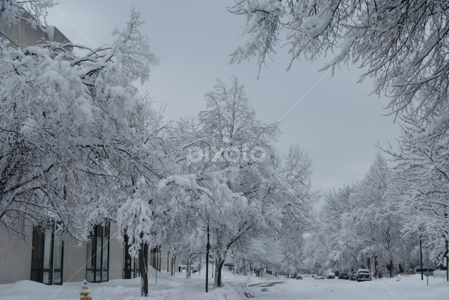 Pathway in the Sky by Enrique Santana Carballo - City,  Street & Park Neighborhoods