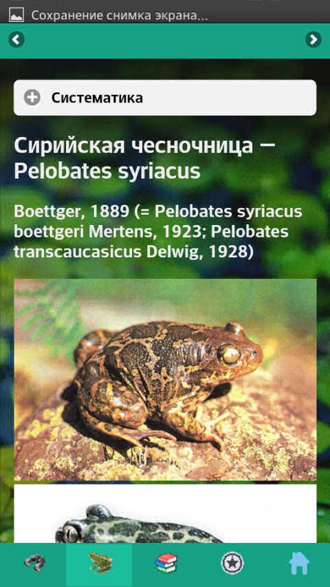 EcoGuide: Russian Amphibians Screen 3