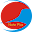 NotepadPlus Download on Windows