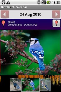 How to mod BirdWatch Calendar 1.6.14 mod apk for laptop