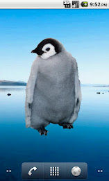 Emperor Penguin Sticker poster 6