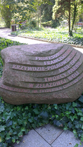 Pomnik Prof. Krzywdzie- Polkowskiemu