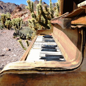 by Dee Schindler VanBilliard - Artistic Objects Musical Instruments