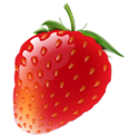Fruits Memory Game logo
