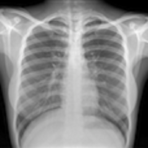 Radiology Tech Certification logo