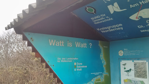 Watt is Watt?