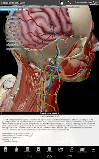 【免費醫療App】Human Anatomy Atlas-APP點子