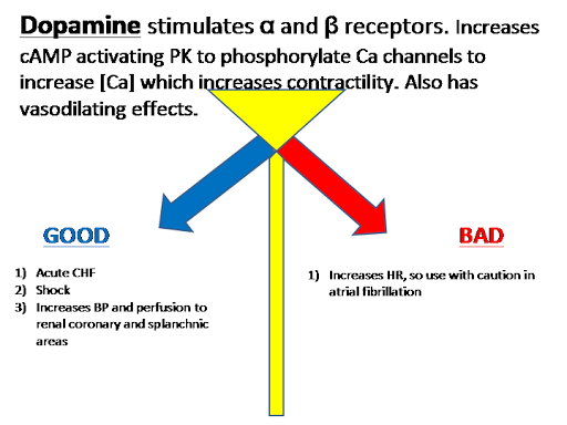 USMLE Medicine Cabinet