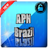 APN Brazil1.0