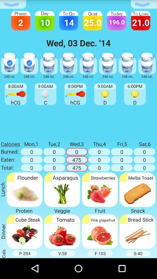 Android application hCG Diet Life screenshort