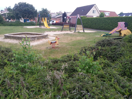 Elephant and Playground
