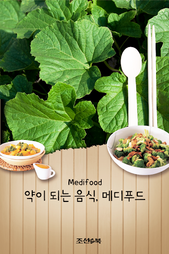 약이 되는 음식 메디푸드 Medi-Food