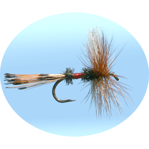 Fly Fishing Simulator 體育競技 App LOGO-APP開箱王