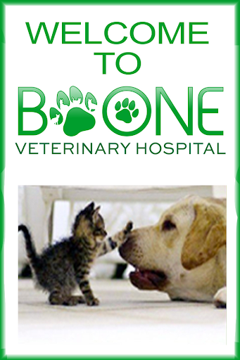 Boone Vet