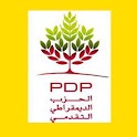 PDP logo