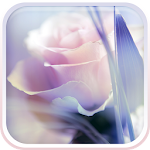 Cover Image of Download Rose Live Wallpaper 2.0 APK
