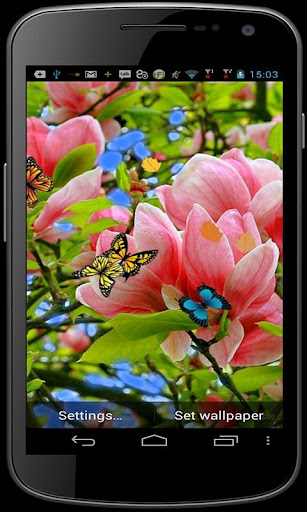 3D Butterfly Live Wallpaper