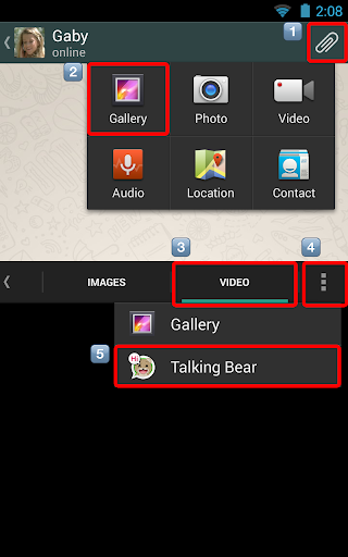 【免費社交App】Talking Bear-APP點子