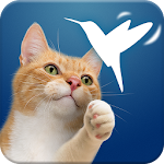 Friskies® Happy Wings (EU) Apk