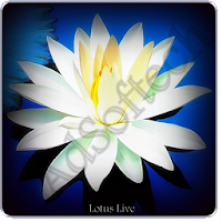 Lotus Live Wallpaper APK Иконка