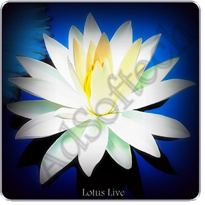 Lotus Live Wallpaper.apk 5.2.0