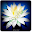 Lotus Live Wallpaper Download on Windows