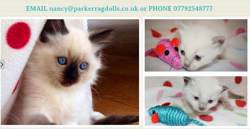 PARKER.RAGDOLLS