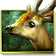 Forest HD icon