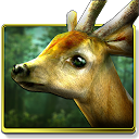 Forest HD mobile app icon