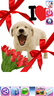 How to install Love and fun photo montages 2.1 unlimited apk for laptop