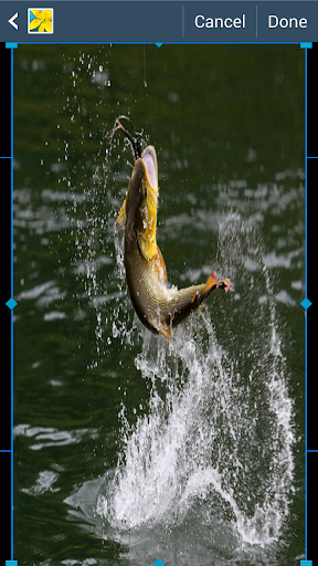 【免費個人化App】Bass Fishing Wallpapers-APP點子