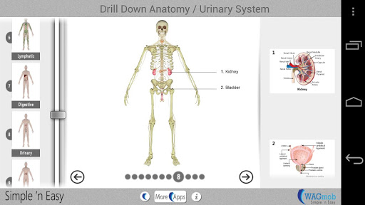 【免費書籍App】Drill Down Anatomy by WAGmob-APP點子