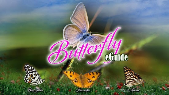 Free Download Butterfly eGuide APK for Android